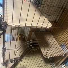 2段キャットケージ 棚追加の画像