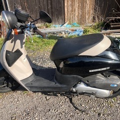 HONDA！ホンダ！バイク！TODAY！型式 JBH-AF67！49㏄！始動・走行OKの画像