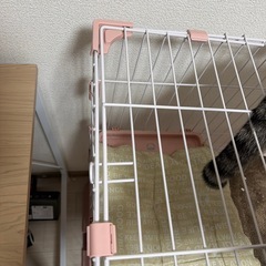 猫用ケージの画像