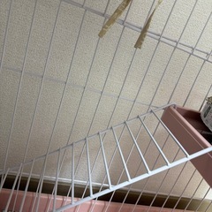 猫用ケージの画像