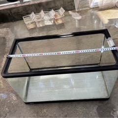 GEX  水槽 60センチ（今年中に処分予定）の画像