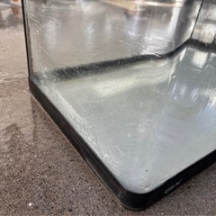 GEX  水槽 60センチ（今年中に処分予定）の画像