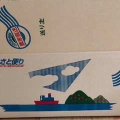 愛果28号　まどんな　愛媛県産　規格外品5キロの画像