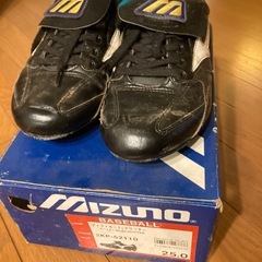 ミズノ野球シューズ25cmの画像
