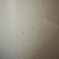 【引越しのため値下げ】 2009年製／洗濯機5kg／HITACHI／動作OK／現状渡し の画像