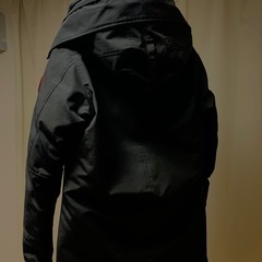 カナダグースの画像