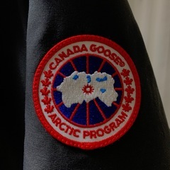 カナダグースの画像