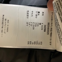 カナダグースの画像