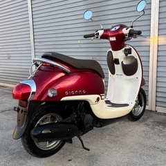 実動 ホンダ ジョルノ AF77 特別カラー 低走行 オイル交換済み 大阪 堺市の画像