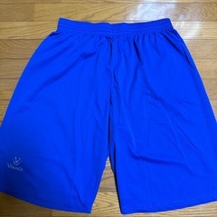 バイオレーラ バスケットボールパンツの画像