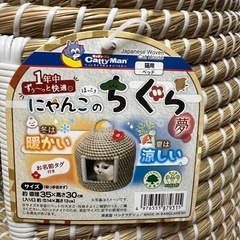 猫ちぐら
の画像