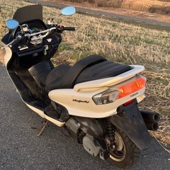 YAMAHA マジェスティ250 SG03J 実働 書類付き 　の画像