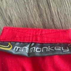 ミニモンキー　抱っこ紐の画像