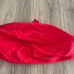 ミニモンキー　抱っこ紐の画像