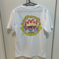 【店舗閉店セット】オリオンビールグラス＋ピッチャー＋Tシャツまとめて｜イベント・居酒屋向けの画像