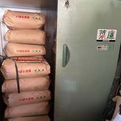 令和7年コシヒカリ玄米30kgの画像