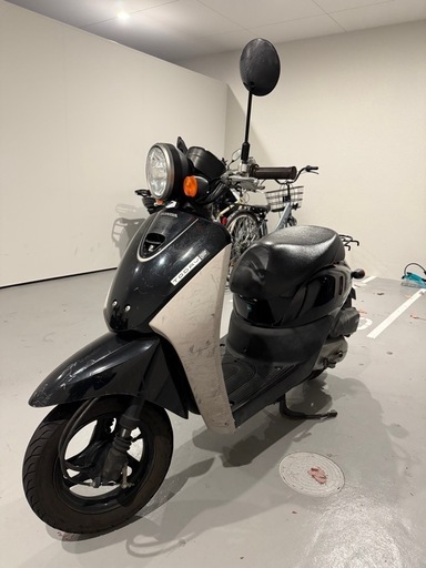 HONDA【トゥディ】50cc原付