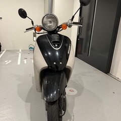 HONDA【トゥディ】50cc原付の画像