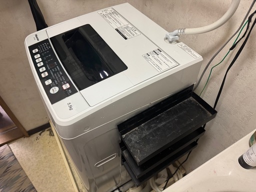 Hisense 全自動洗濯機 HW-T55C 5.5kg 【2018年】 直接引き取り歓迎