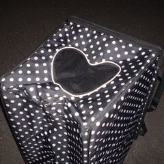 折り畳み　ペットキャリーバック？の画像