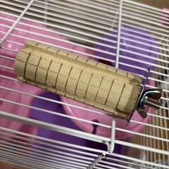 ハムスター用ゲージの画像