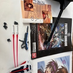 MG ストライクフリーダム　2.0 完成品の画像