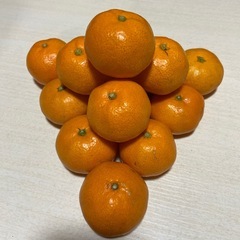 熊本のみかん　甘くて美味しい　八女市近辺の画像