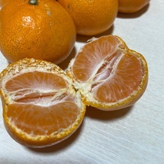 熊本のみかん　甘くて美味しい　八女市近辺の画像