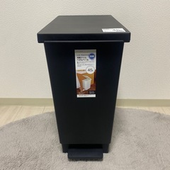 消臭スリムペダルペール(45L ブラック)