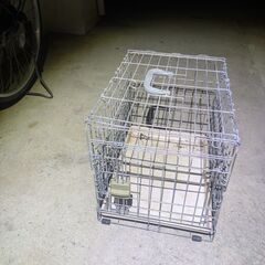 ペット用ケージ　￥100の画像