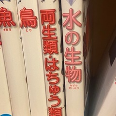 小学館の図鑑NEO 20冊まとめ　　おまけ1冊つきの画像