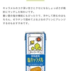 ②未開封 塩キャラメル豆乳   18本入りの画像
