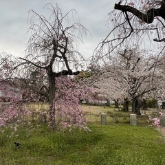 バイク仲間募集