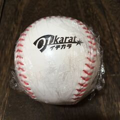 北海道 日本ハムファイターズ   サイン ボール 伊藤 大海 野球  インテリア 雑貨 【h251210006】の画像