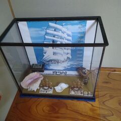 ガラスケース　2個の画像