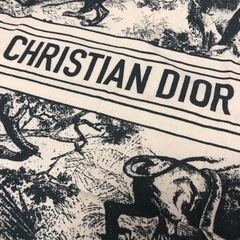 Christian Dior  ディオール　ノベルティ  トートバッグ　トワルドゥジュイ  Christian 底板あり　ブルー　　　　　の画像