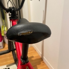 ARES BIKES STN 16インチ レッドの画像