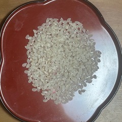 令和7年コシヒカリ玄米30kgの画像