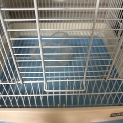 三晃商会　サンコー　イージーホーム　バード ３５−ＢＬ(手乗り)（鳥かご、ケージ、インコ）の画像