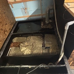 特大FRP水槽セット4000.1300.950熱帯魚の画像