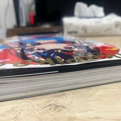 Mika PikaZo 初回特典有り画集美品の画像