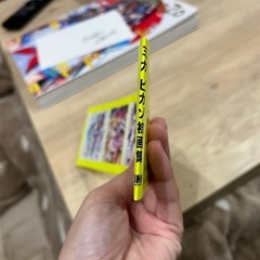 Mika PikaZo 初回特典有り画集美品の画像