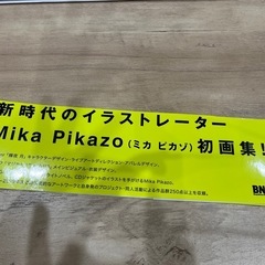 Mika PikaZo 初回特典有り画集美品の画像