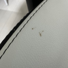 ノーブルチェア    アイコン プレミアムホワイトの画像