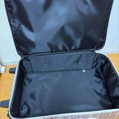 キャリーの画像