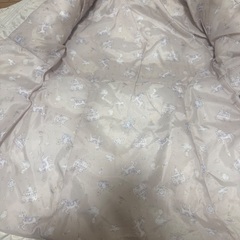 AnyFam キッズアウターサイズ110の画像