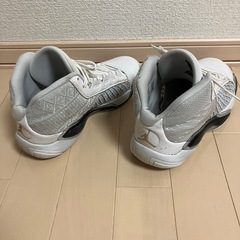 ナイキ　エアジョーダン38 25.0cmの画像