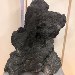 希少ADA 雲山石XL 特大未使用の画像