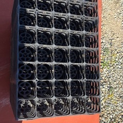 育苗トレーの画像