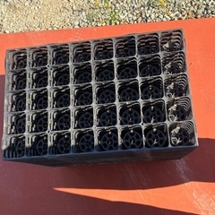 育苗トレーの画像